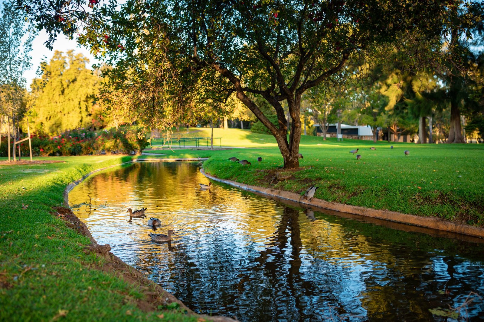 Moorpanyal Park
